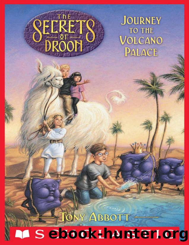 Journey to the Volcano Palace (The Secrets of Droon #2) by Tony Abbott