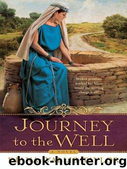 Journey to the Well: A Novel by Diana Wallis Taylor