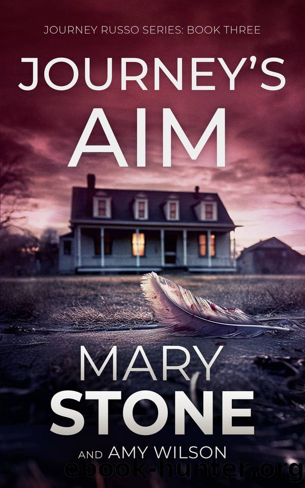 Journey's Aim (Journey Russo FBI Mystery Series Book 3) by Mary Stone