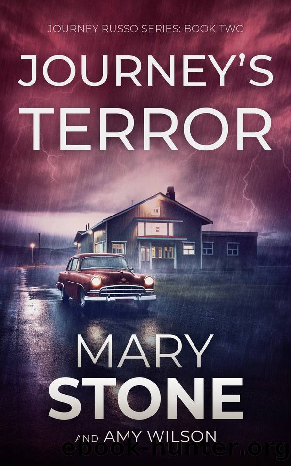 Journey's Terror (Journey Russo FBI Mystery Series Book 2) by Mary Stone