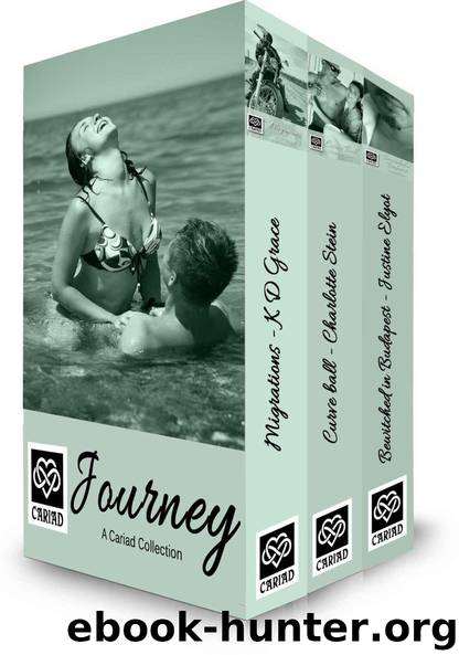 Journey: A Cariad Romance Three Book Bundle (Cariad Collections) by Grace K D & Stein Charlotte & Elyot Justine