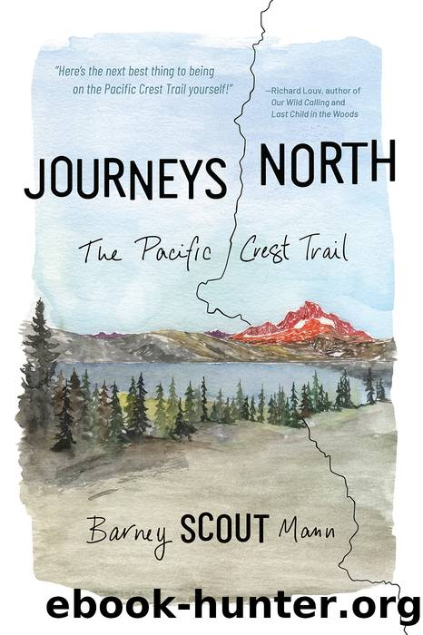 Journeys North by Barney Scout Mann