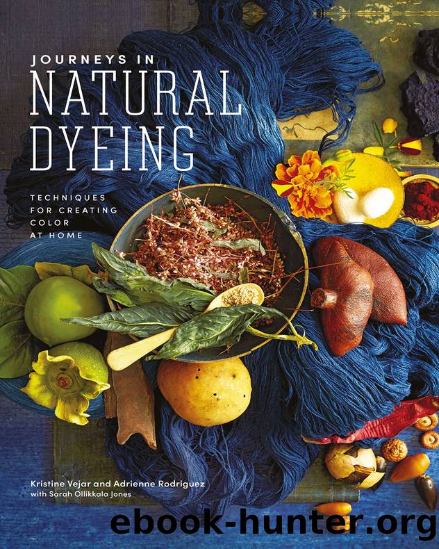 Journeys in Natural Dyeing by Kristine Vejar;Adrienne Rodriguez;
