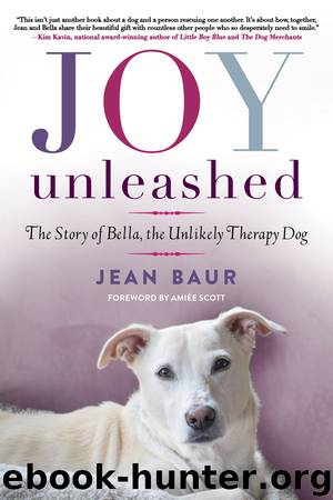 Joy Unleashed by Jean Baur