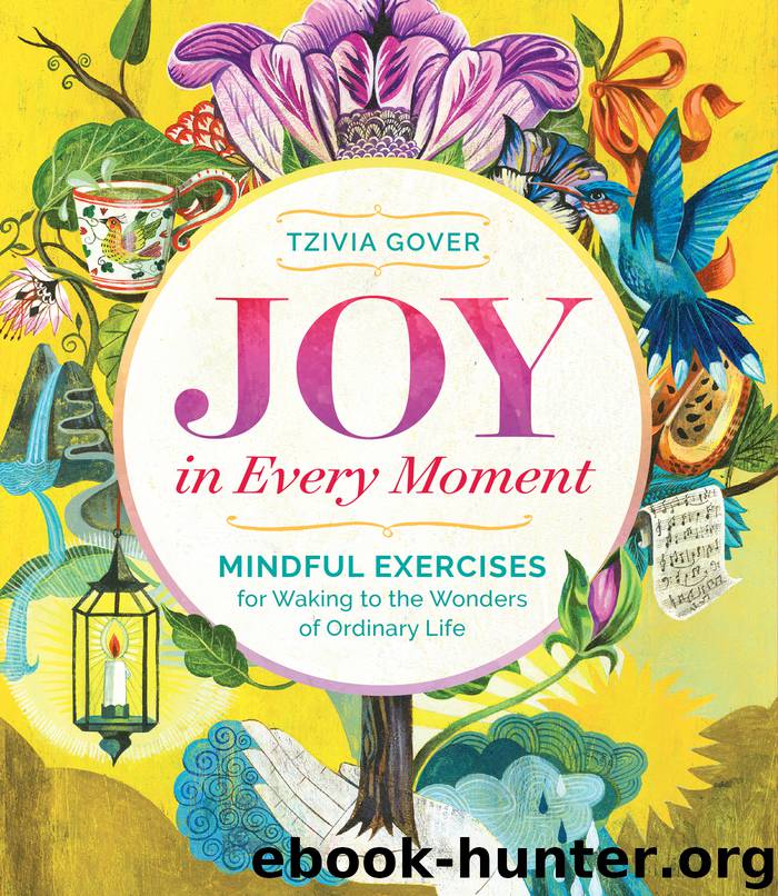 Joy in Every Moment by Tzivia Gover