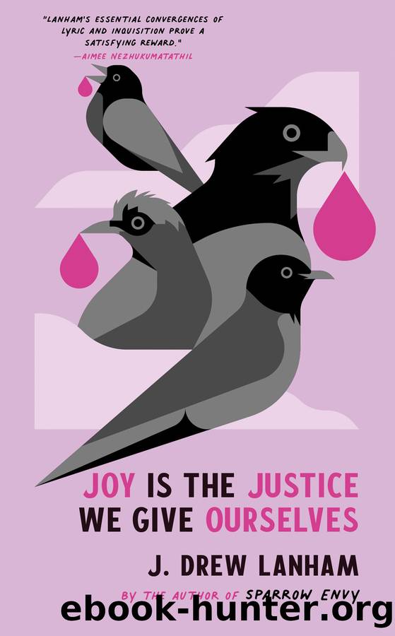 Joy is the Justice We Give Ourselves by J. Drew Lanham