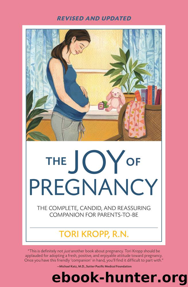 Joy of Pregnancy by Tori Kropp