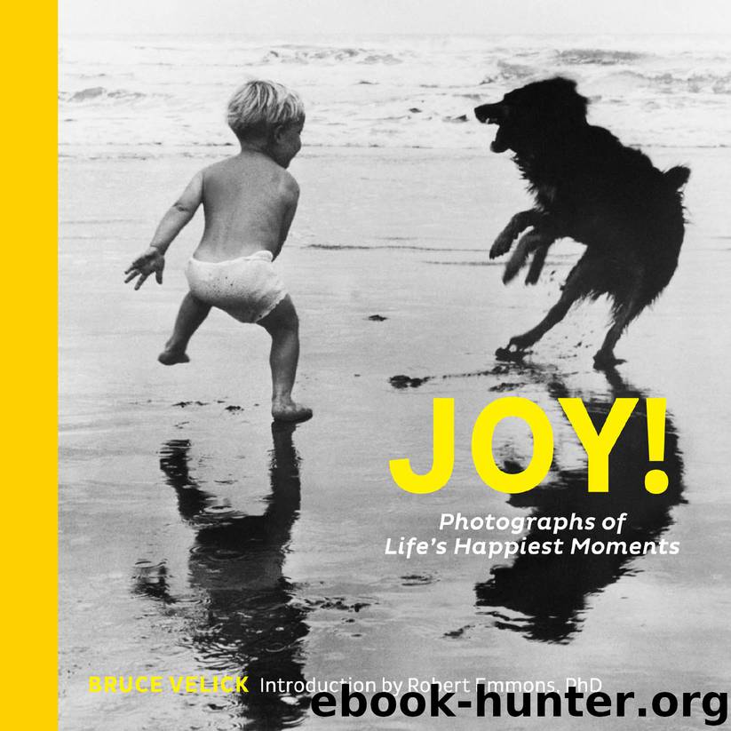Joy! by Bruce Velick