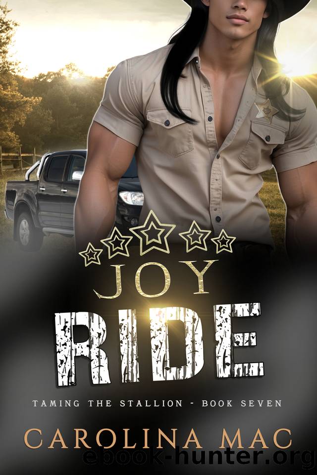 JoyRide (Taming the Stallion Series Book 7) by Carolina Mac