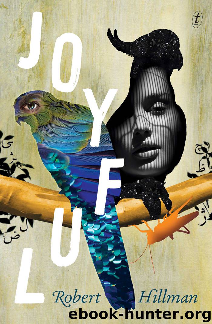 Joyful by Robert Hillman