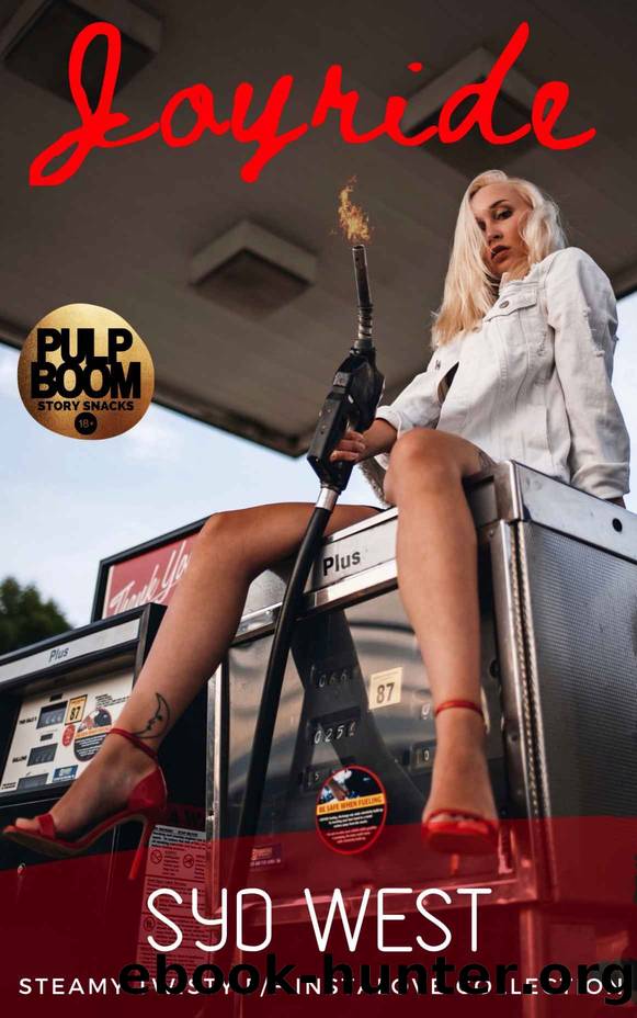 Joyride: Steamy Twisty FF Instalove Collection by Syd West