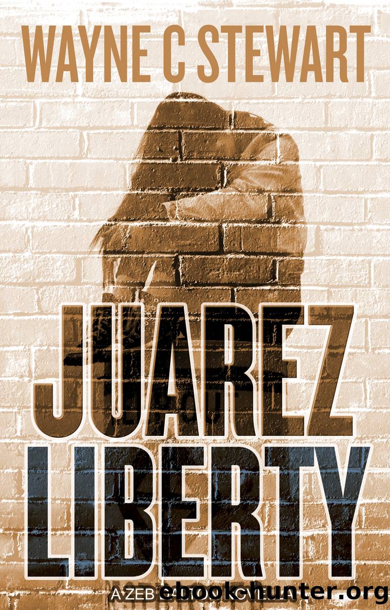 Juarez Liberty by Wayne C. Stewart
