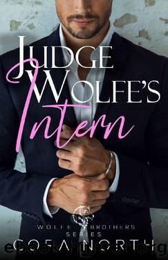 Judge Wolfe's Intern: Wolfe Brothers Book 1 by Cora North