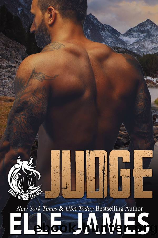 Judge by Elle James