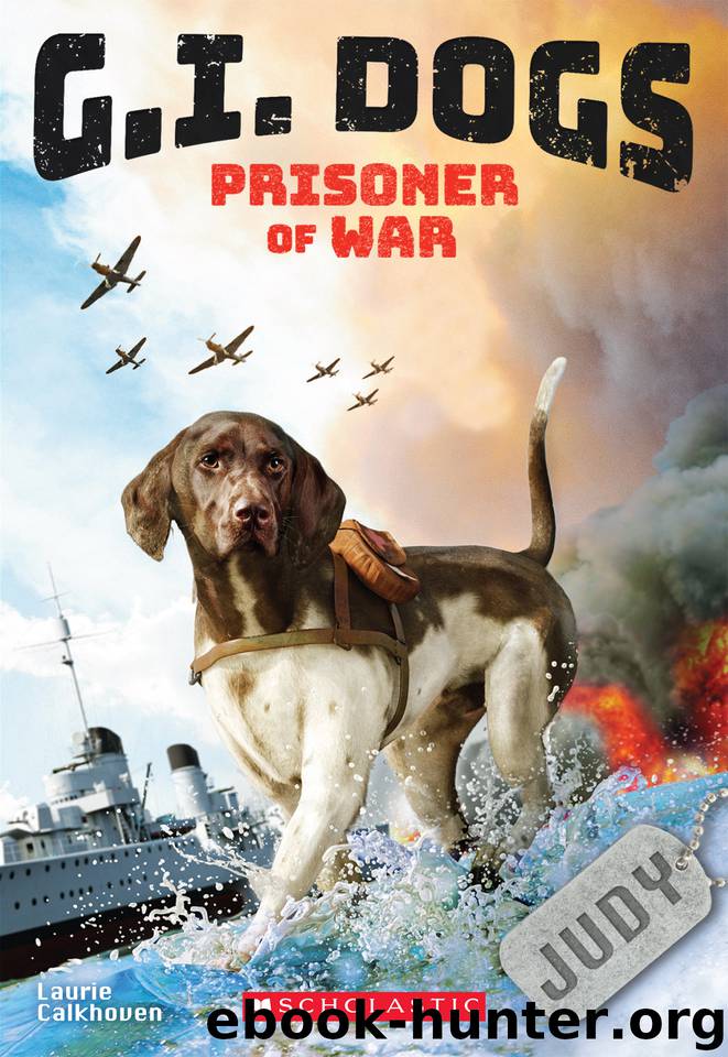 Judy, Prisoner of War by Laurie Calkhoven
