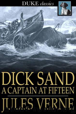 Jules Verne by Dick Sand - a Captain at Fifteen