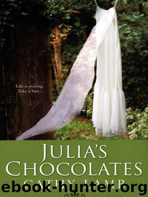 Julia's Chocolates by Cathy Lamb
