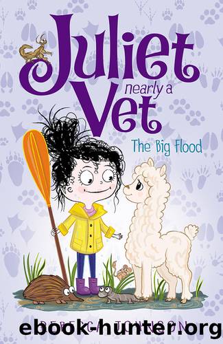 Juliet Nearly a Vet: The Big Flood by Rebecca Johnson