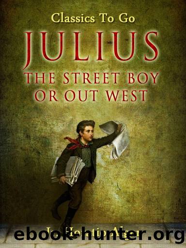 Julius the Street Boy by Jr. Horatio Alger