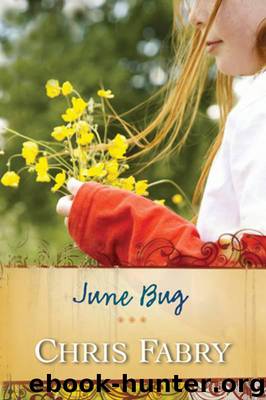 June Bug by Chris Fabry