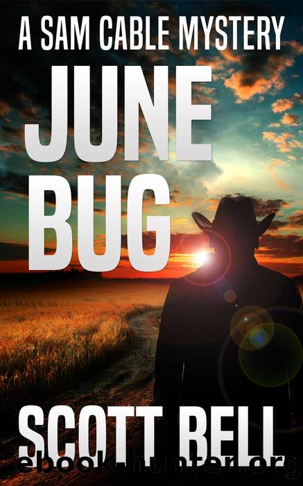 June Bug by Scott Bell