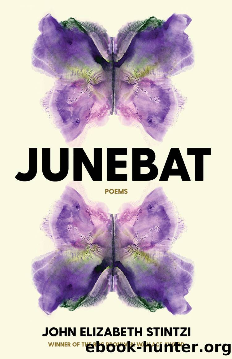 Junebat by John Elizabeth Stintzi