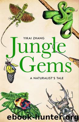 Jungle Gems by Yikai Zhang