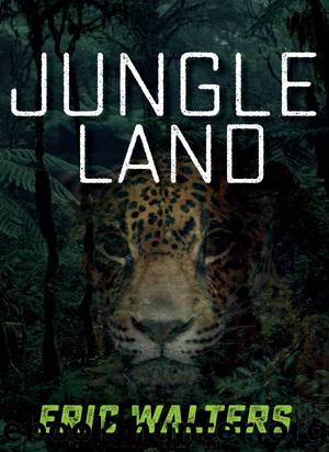 Jungle Land by Eric Walters