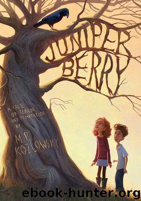 Juniper Berry by Kozlowsky M. P