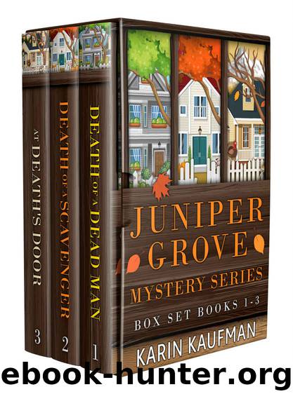 Juniper Grove Cozy Mystery Box Set 1 by Karin Kaufman