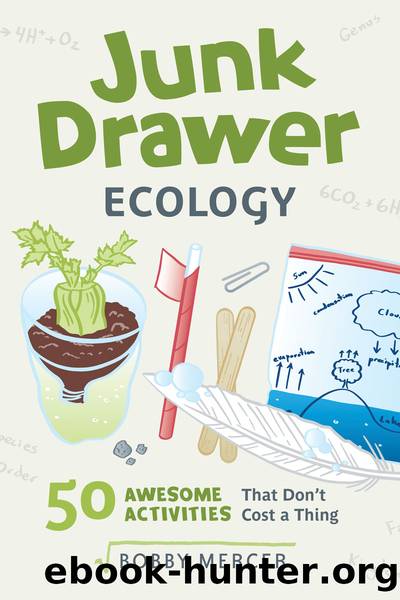 Junk Drawer Ecology by Bobby Mercer