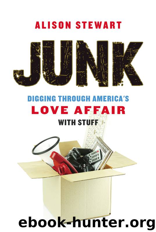 Junk by Alison Stewart