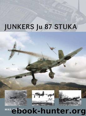 Junkers Ju 87 Stuka (Air Vanguard) by Mike Guardia