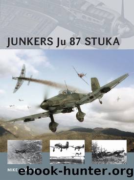 Junkers Ju 87 Stuka by Mike Guardia