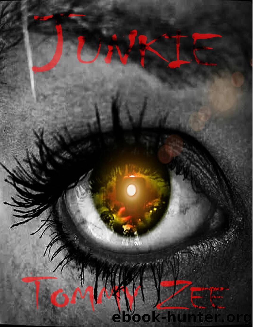 Junkie by tommy zee