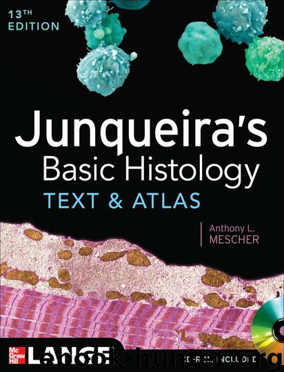 Junqueira's Basic Histology: Text and Atlas, Thirteenth Edition by Anthony Mescher
