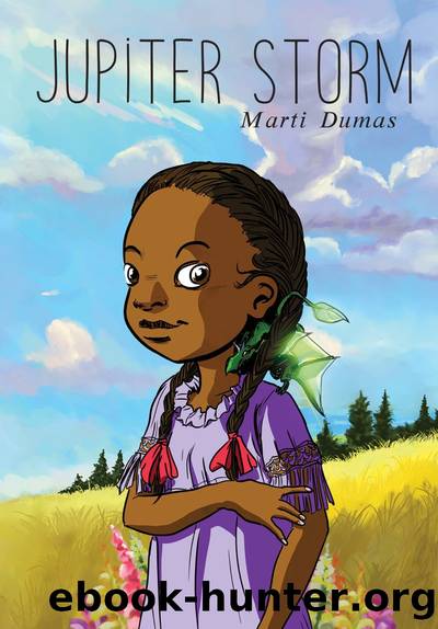 Jupiter Storm by Marti Dumas