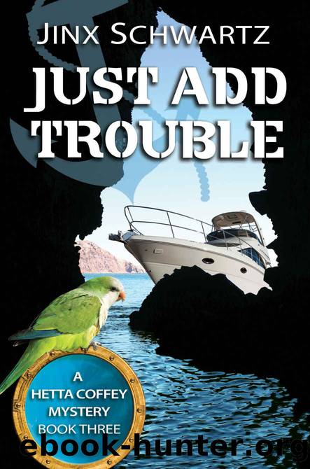 Just Add Trouble (Hetta Coffey Series, Book 3) by Jinx Schwartz