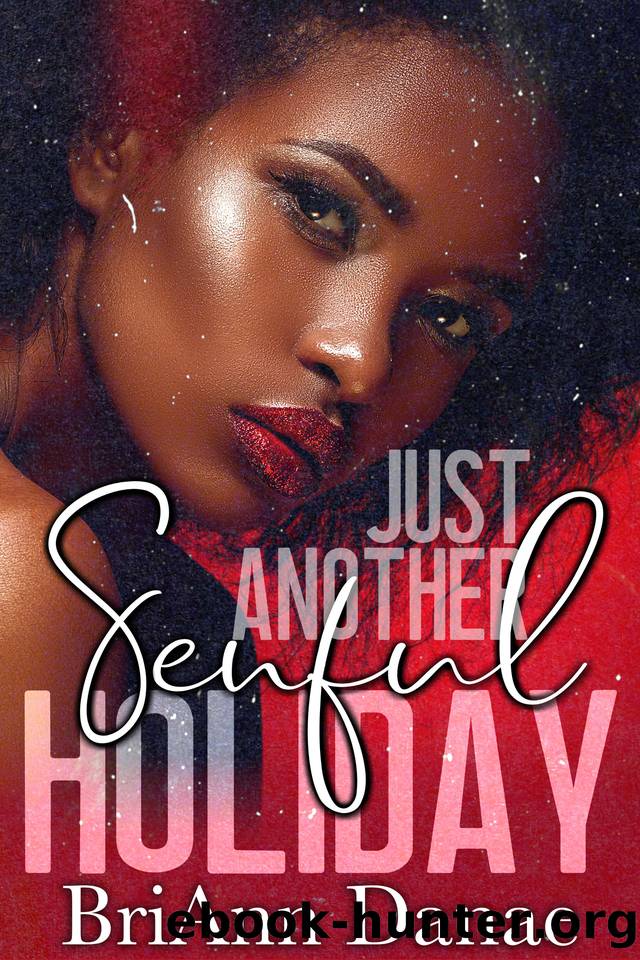 Just Another Senful Holiday (A Senful Holiday Book 3) by Danae BriAnn