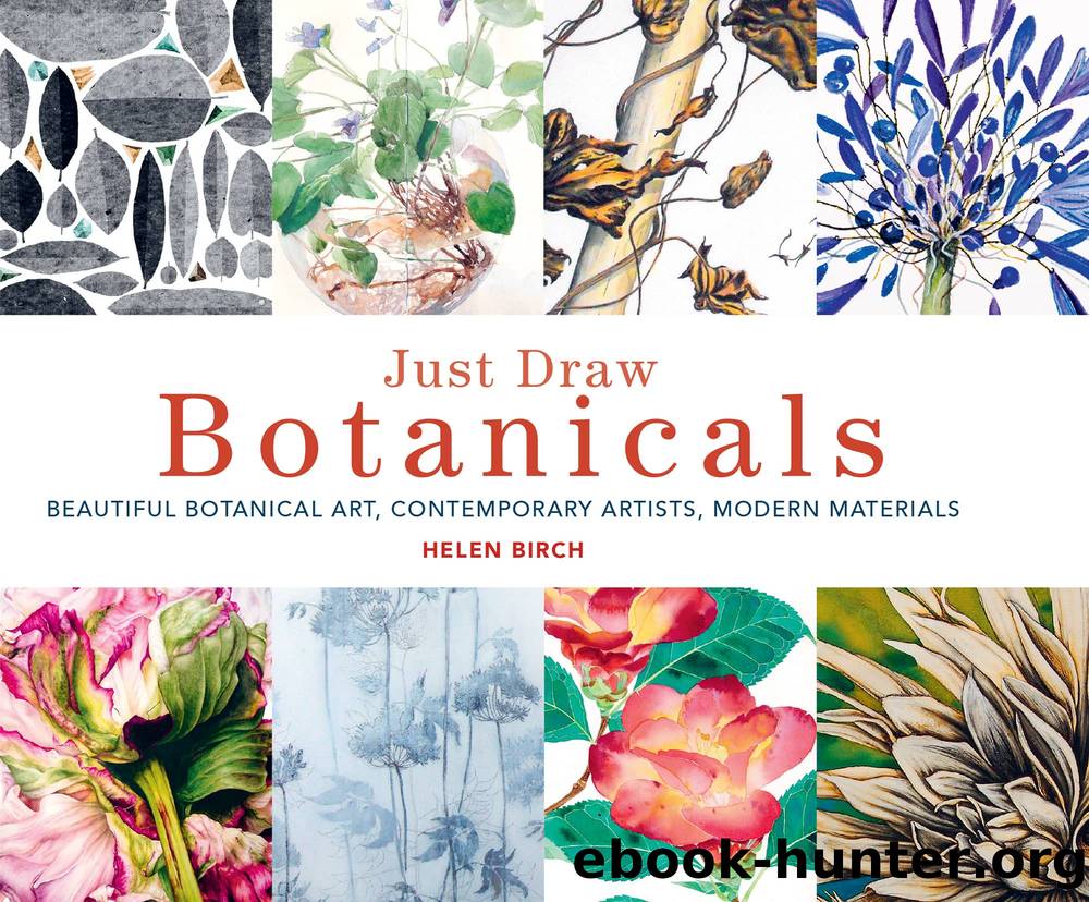 Just Draw Botanicals by Helen Birch