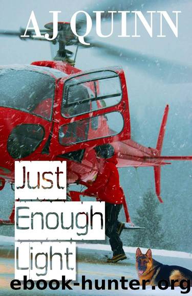 Just Enough Light by Quinn AJ