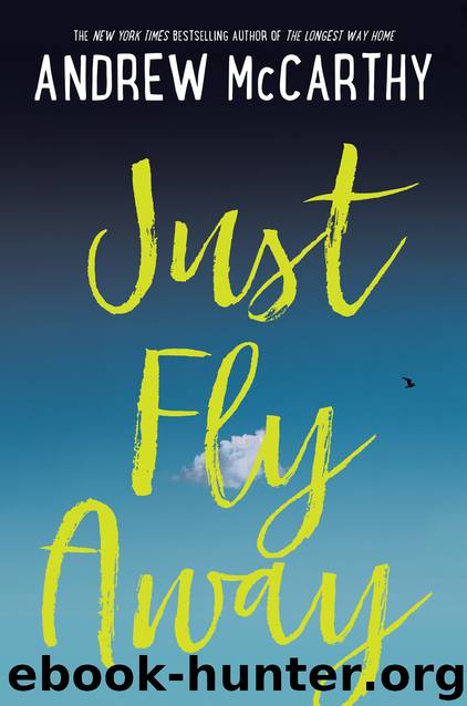 Just Fly Away by Andrew McCarthy