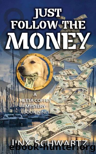 Just Follow the Money by Jinx Schwartz
