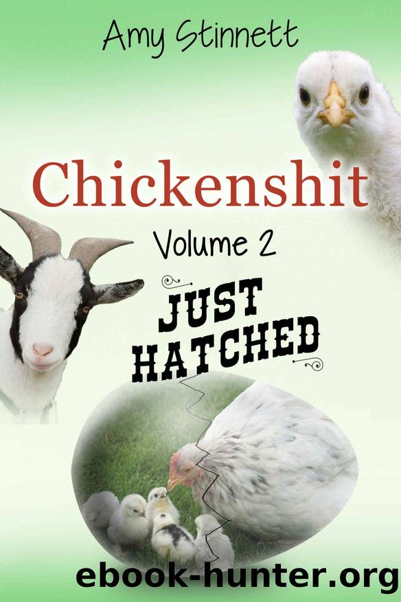 Just Hatched by Amy Stinnett