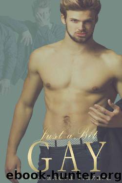 Just a Bit Gay (Straight Guys Book 9) by Alessandra Hazard