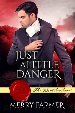 Just a Little Danger (The Brotherhood Book 3) by Merry Farmer