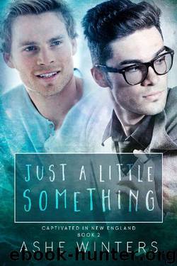 Just a Little Something (Captivated in New England Book 2) by Ashe Winters