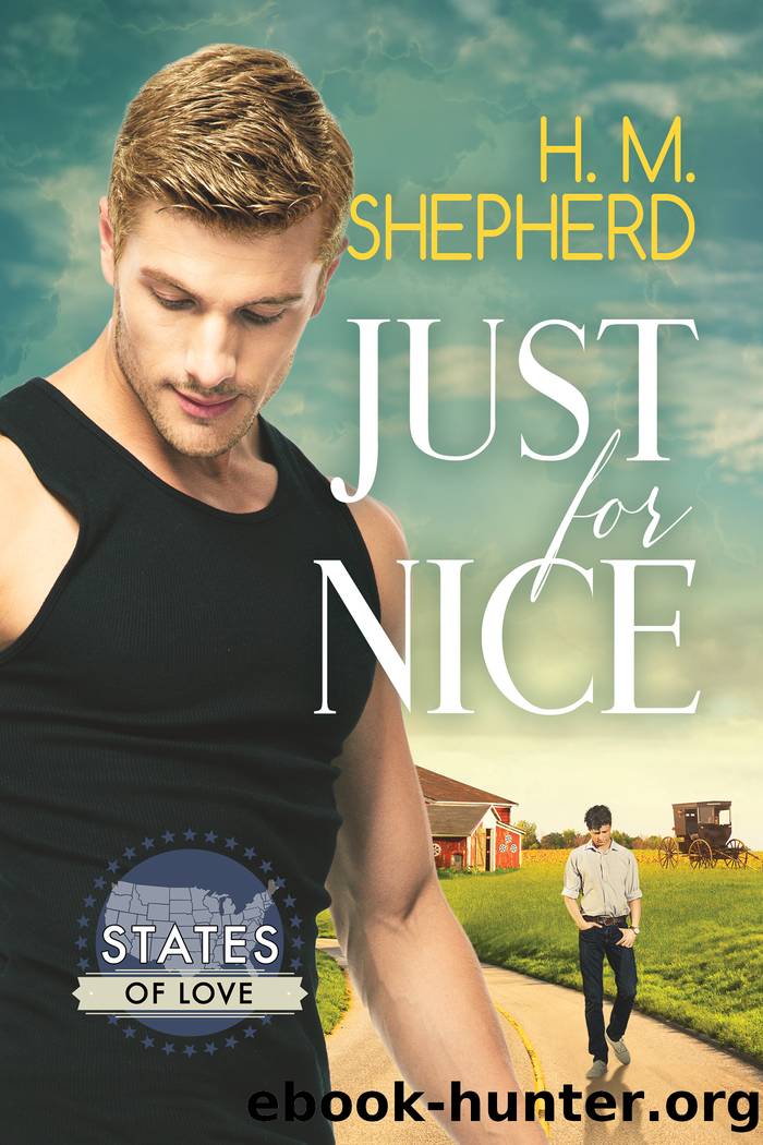 Just for Nice by H.M. Shepherd