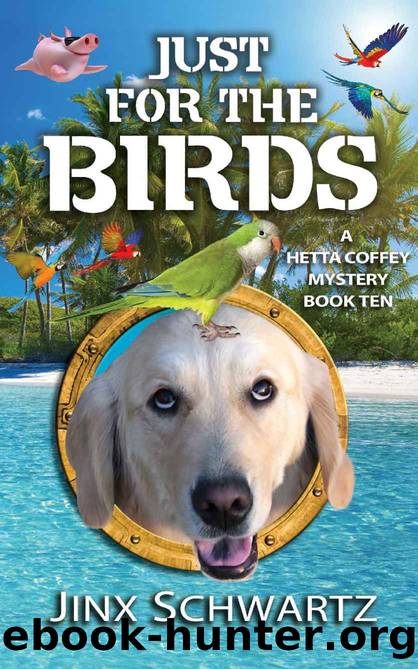 Just for the Birds by Jinx Schwartz