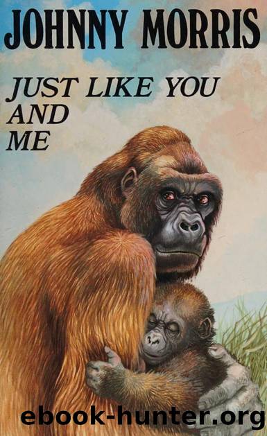 Just like you and me by Morris Johnny 1916-1999